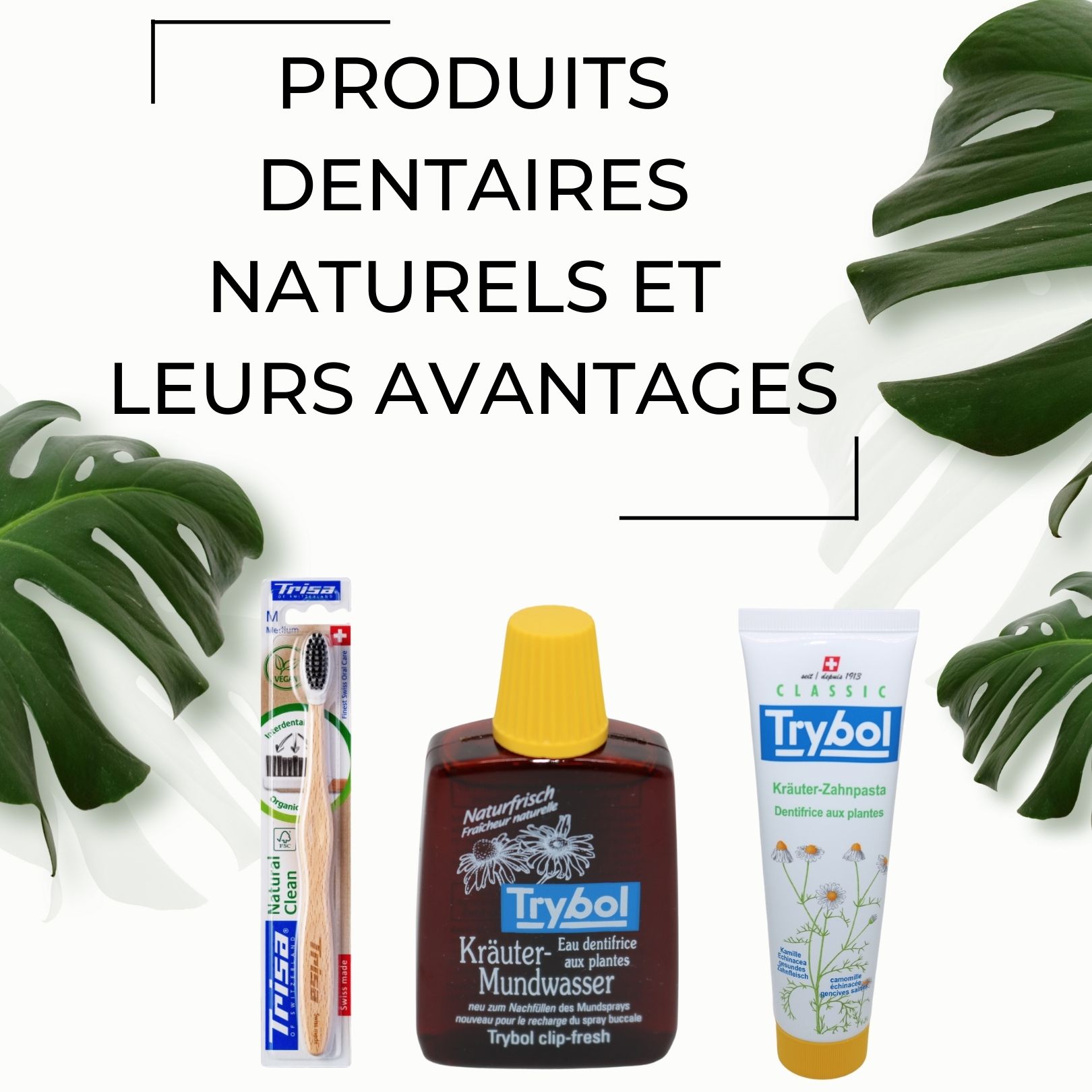 natural_produits_dentaire